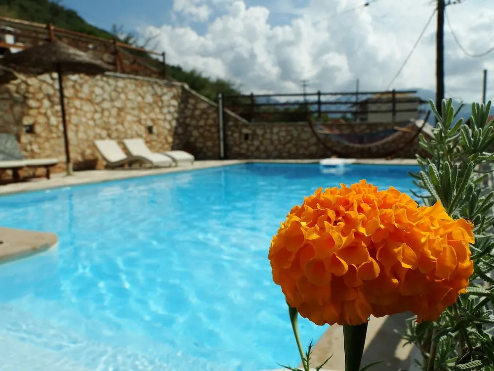 Calm Wave Villas
