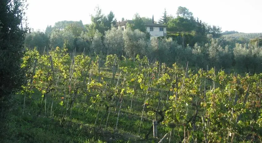 Chianti House
