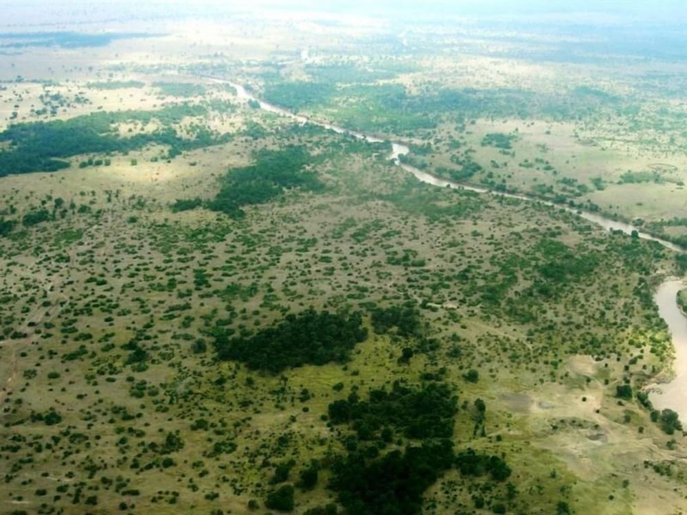Ngerende in the Wild Riverview