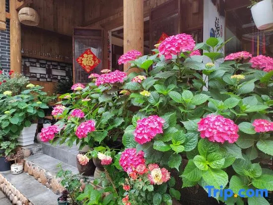 Musudongxiang Inn