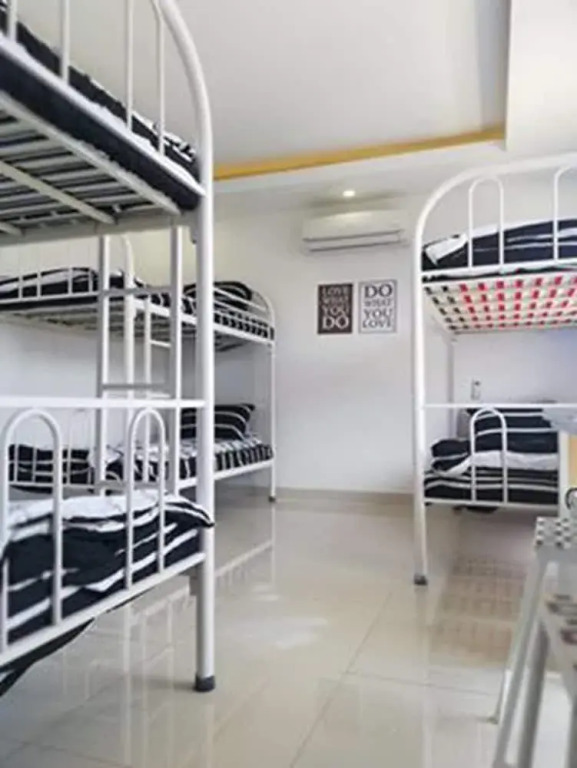 Cat's Hostel