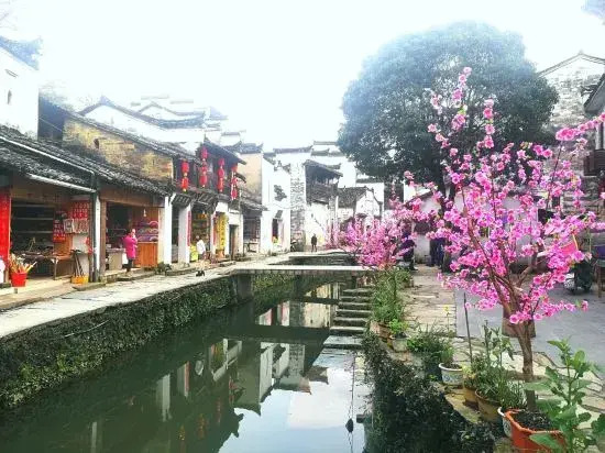 Qianxun• Yihao Hostel