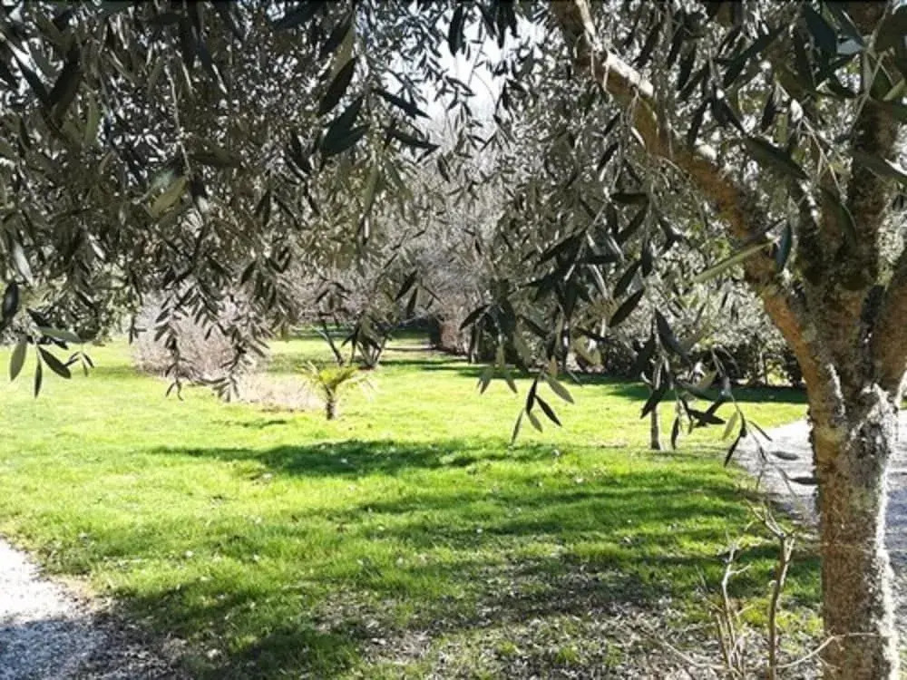 Le Parc er Greo
