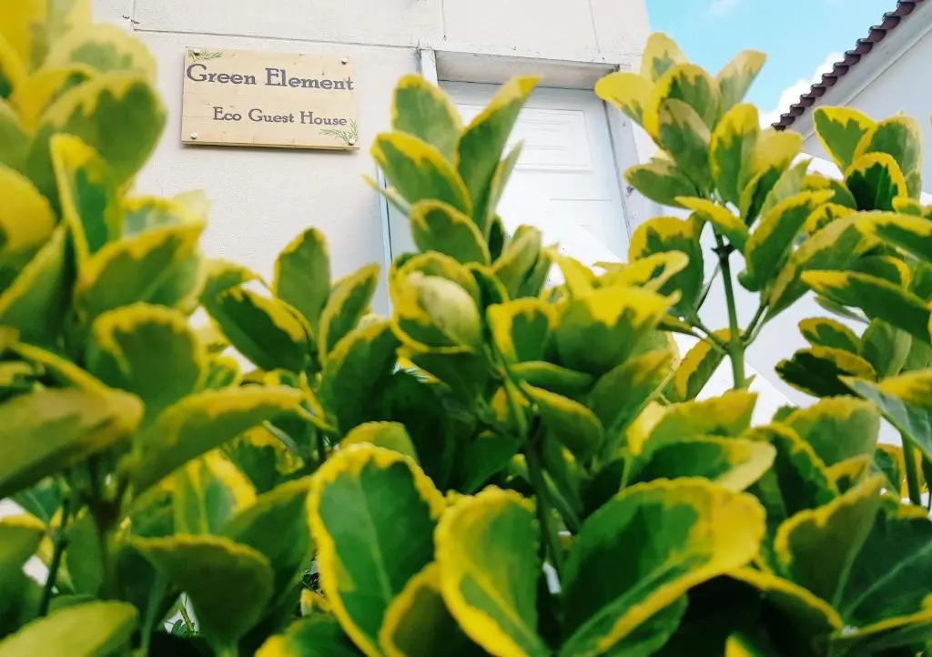 Green Element Guesthouse