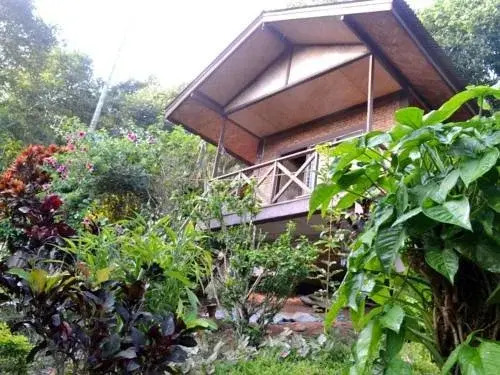 Serene Karen Resort