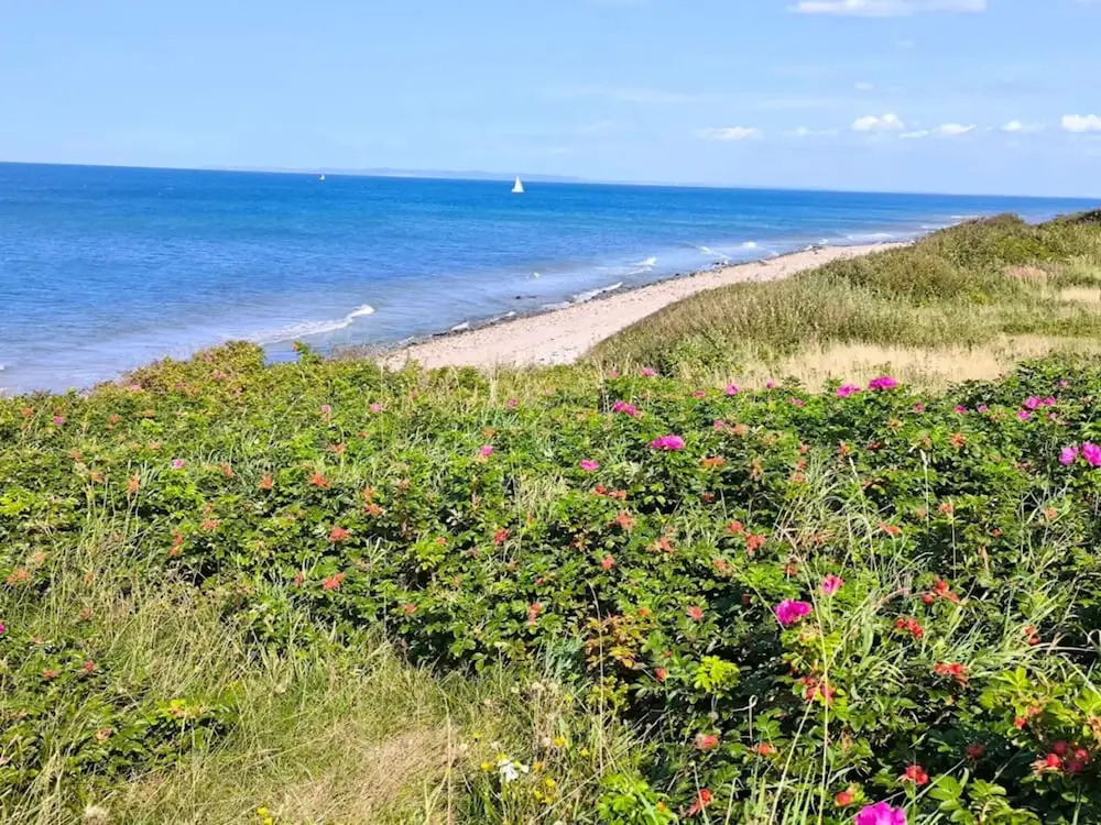 6 person holiday home in Gilleleje