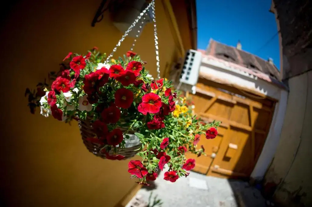 Hermannstadt House 1