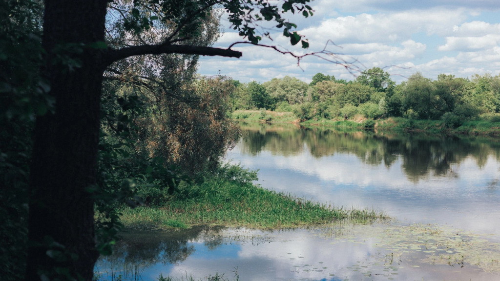Serebrjanye kljuchi, Gomel'skaja oblast'