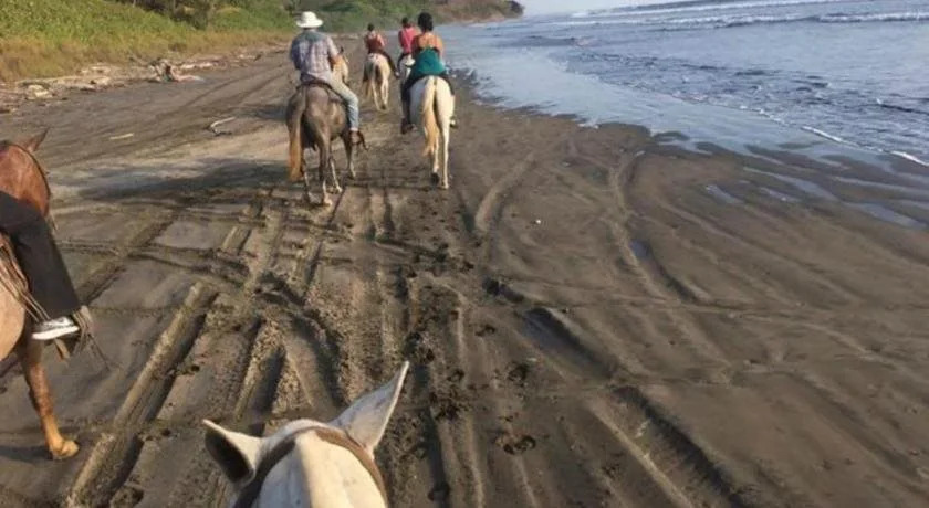 Blue Surf Sanctuary