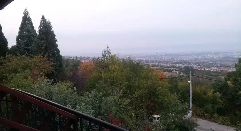 Villa Pontica