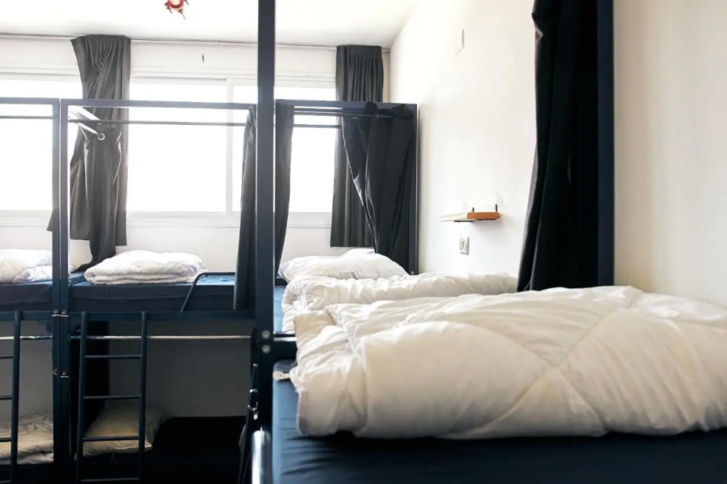 Jungle Jaffa Hostel Age 18 to 45