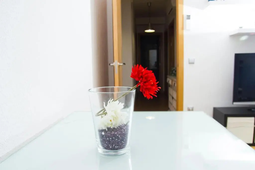 Apartamento ToleTum