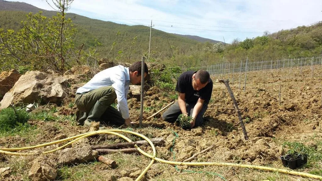 Agriturismo Esperia