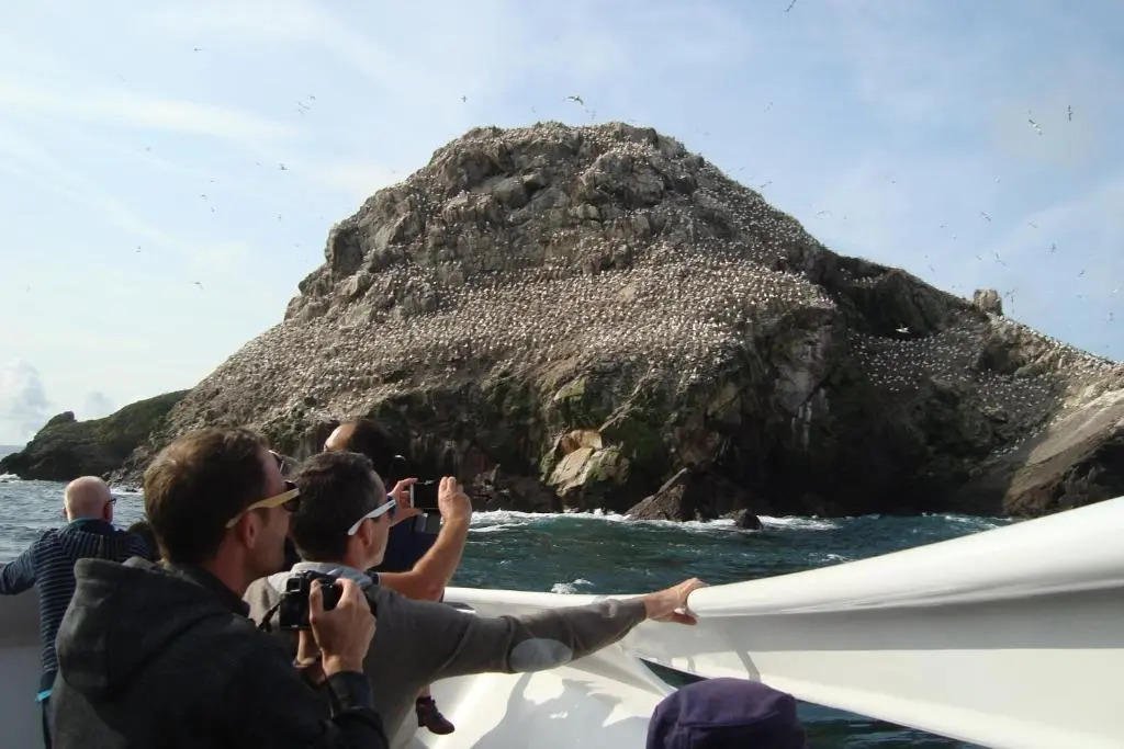 studio exposé plein sud vu sur le port de plaisance