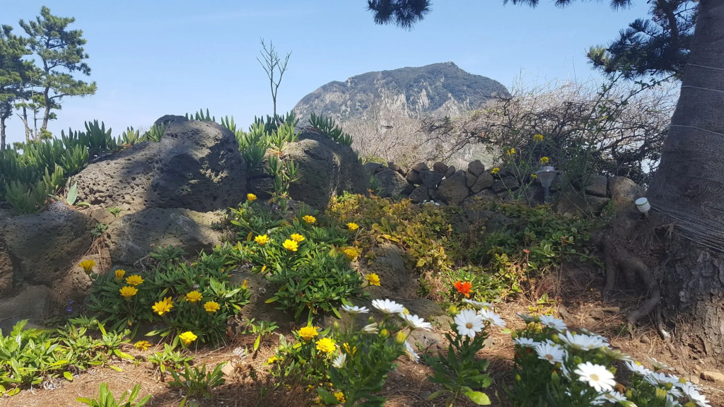 Wind Jeju Cafe & Pension