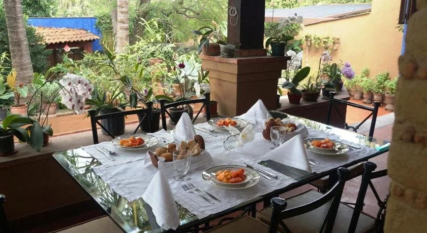 Orchidelirium Casa Hotel & Salud Estética