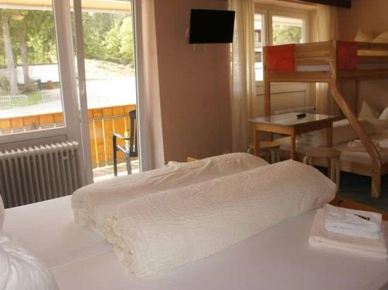 Hotel Restaurant Feldbergpass