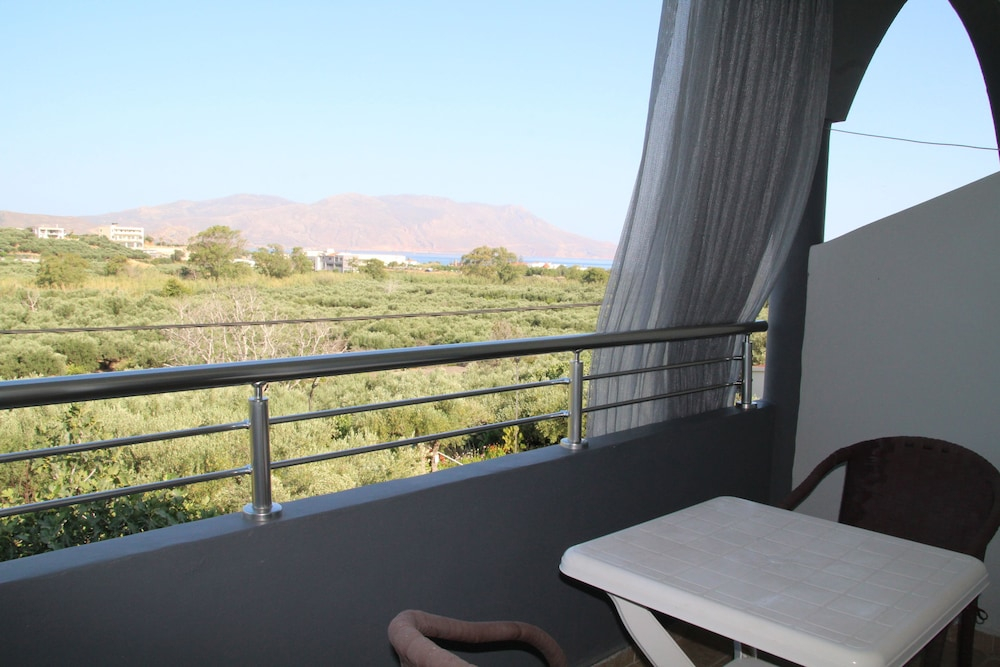 olive view