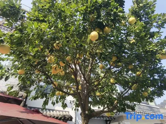 Hangzhou Xihu Scenic Area Hong'er Farm stay