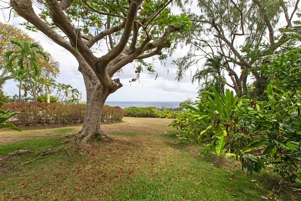 Shangri La