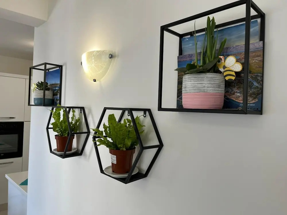 City Apartment Vitas