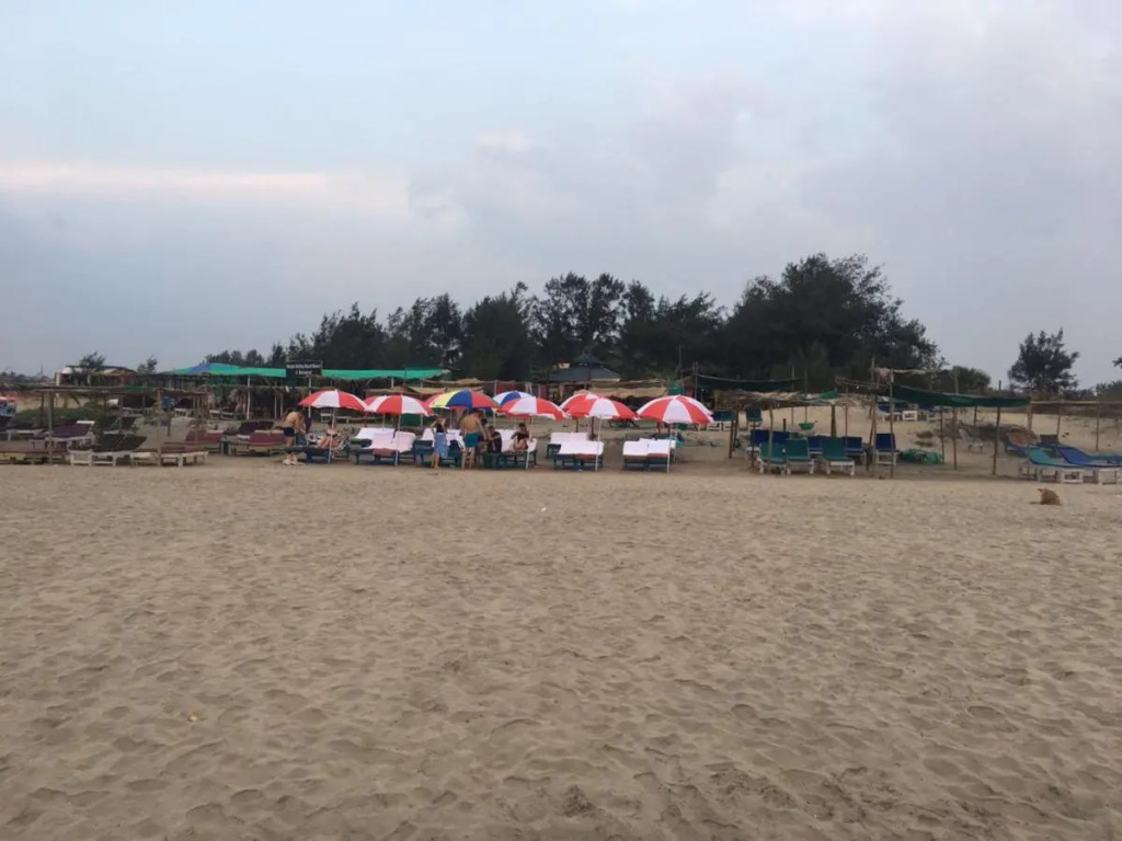 Divine Beach cottages on Arambol beach