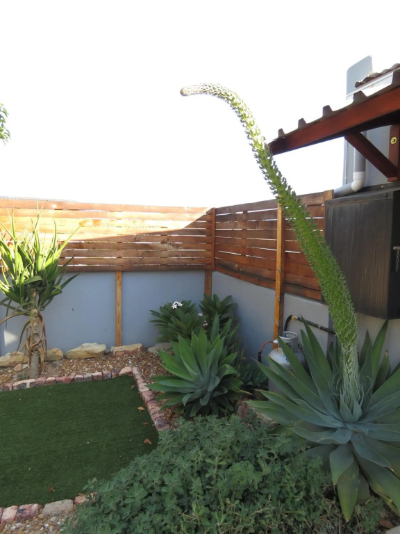 Caledon Protea Cottage
