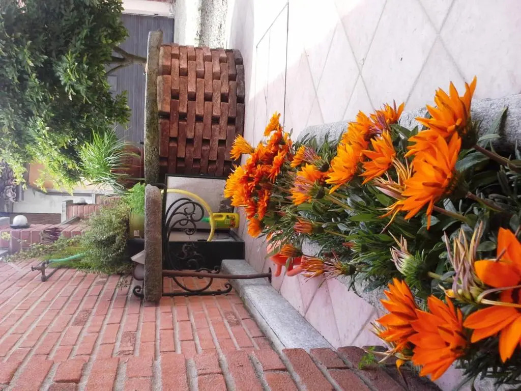 Bed&Breakfast La Siepe
