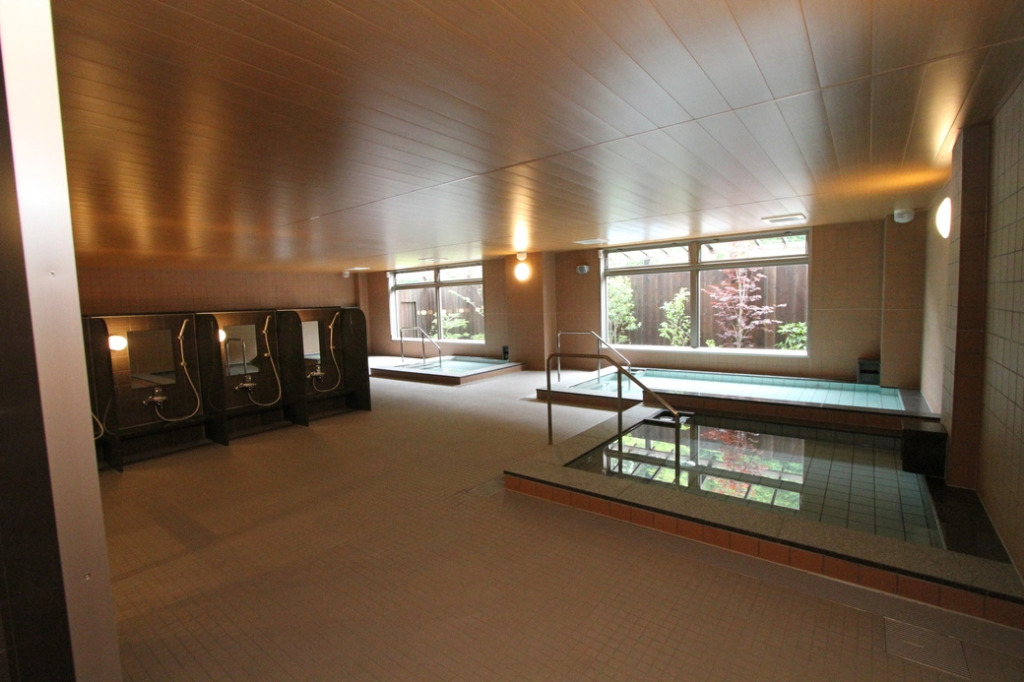 Fuji Zakura Hotel