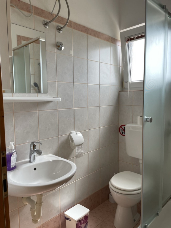 Apartment Vir 3 in Vir