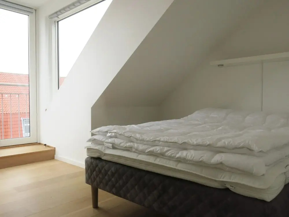 Apartment in Amager 1317-1