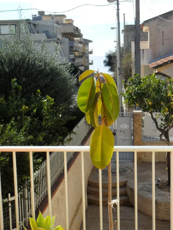 Appartamento Enzo