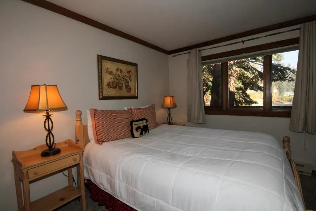 Mountainback #50, pet friendly