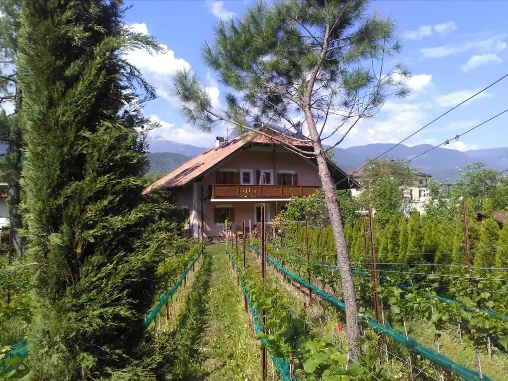 Haus Tinkhauser