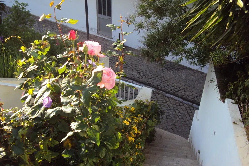 Hospedaria D. Maria
