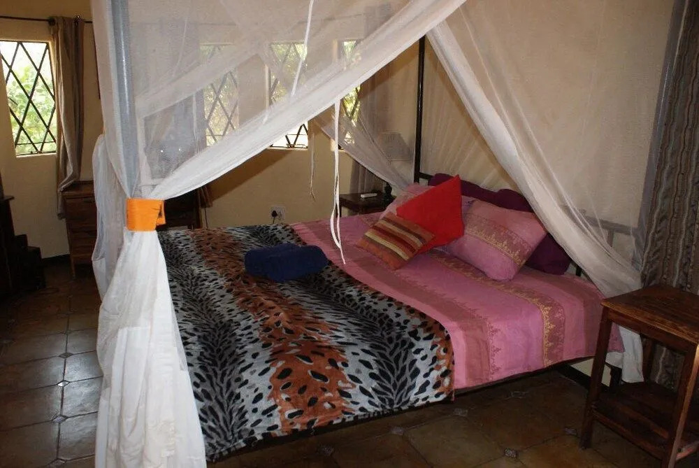 Bongwe Guesthouse and Camp