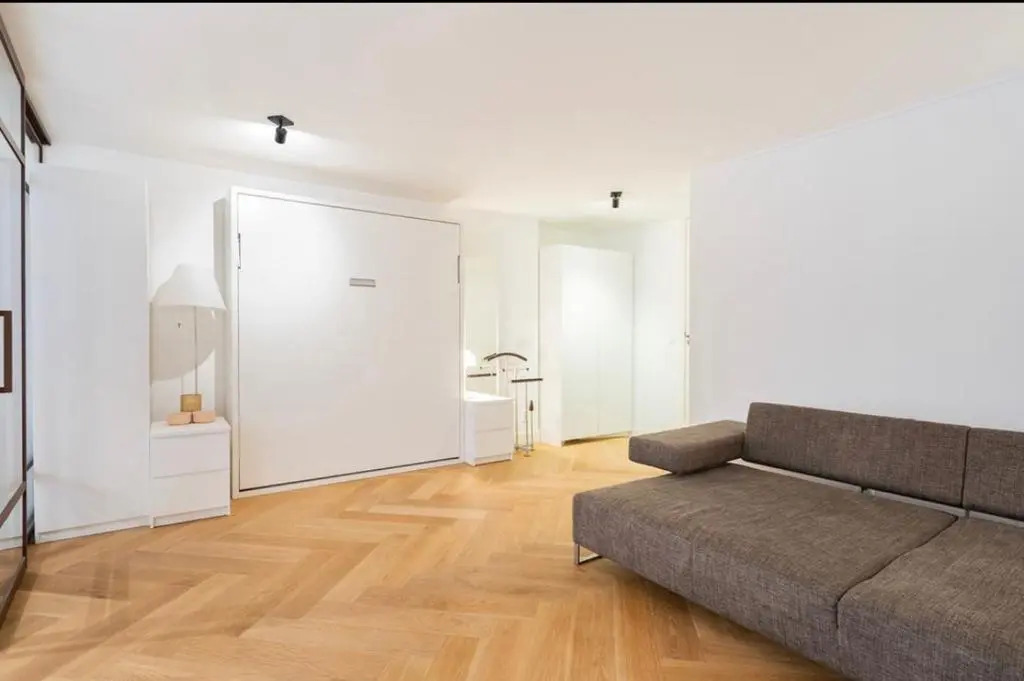 Luxurious studio only 15 minutes from city center