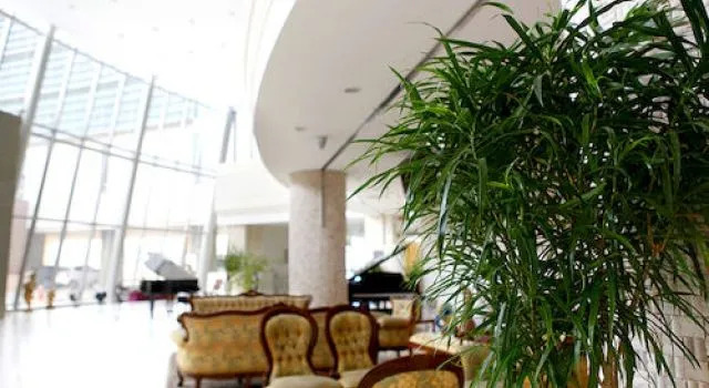 Youngjong Sky Resort