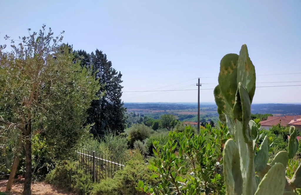 L'OLIVO appartamento vacanze