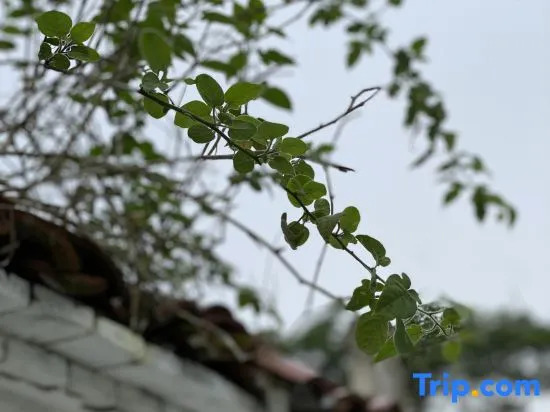 Yiyi Zhenxuan Hostel