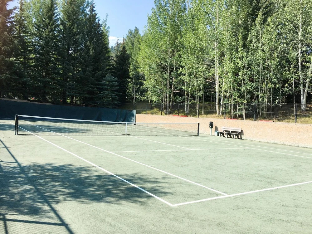 663 Sawatch Drive Townhouse Unit 1 3 Bedrooms 3 Bathrooms Townhouse