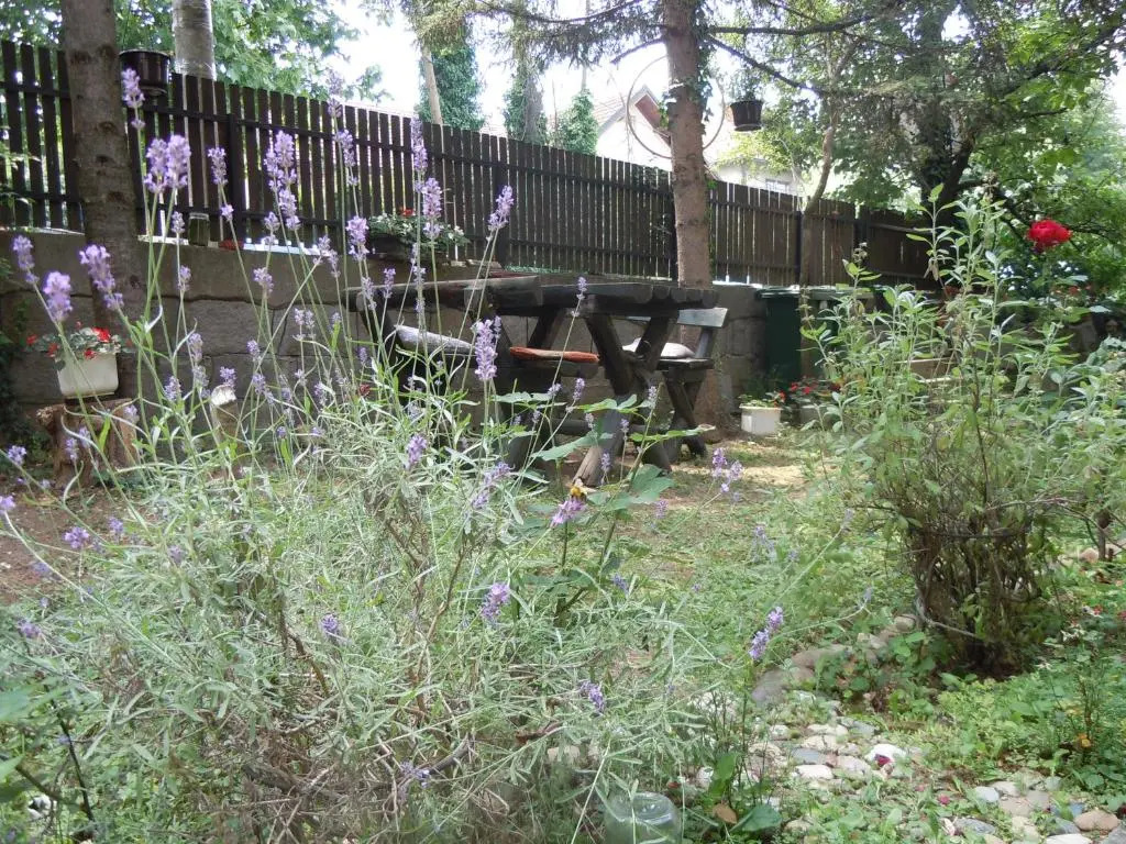 Apartmani Sobe BILJANA