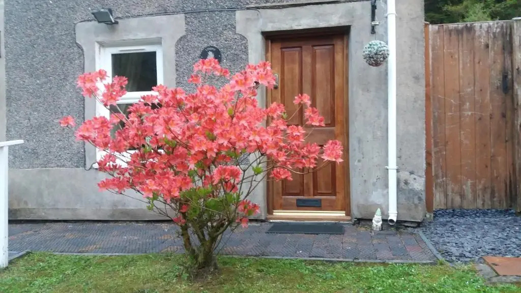 Llugwy Cottage