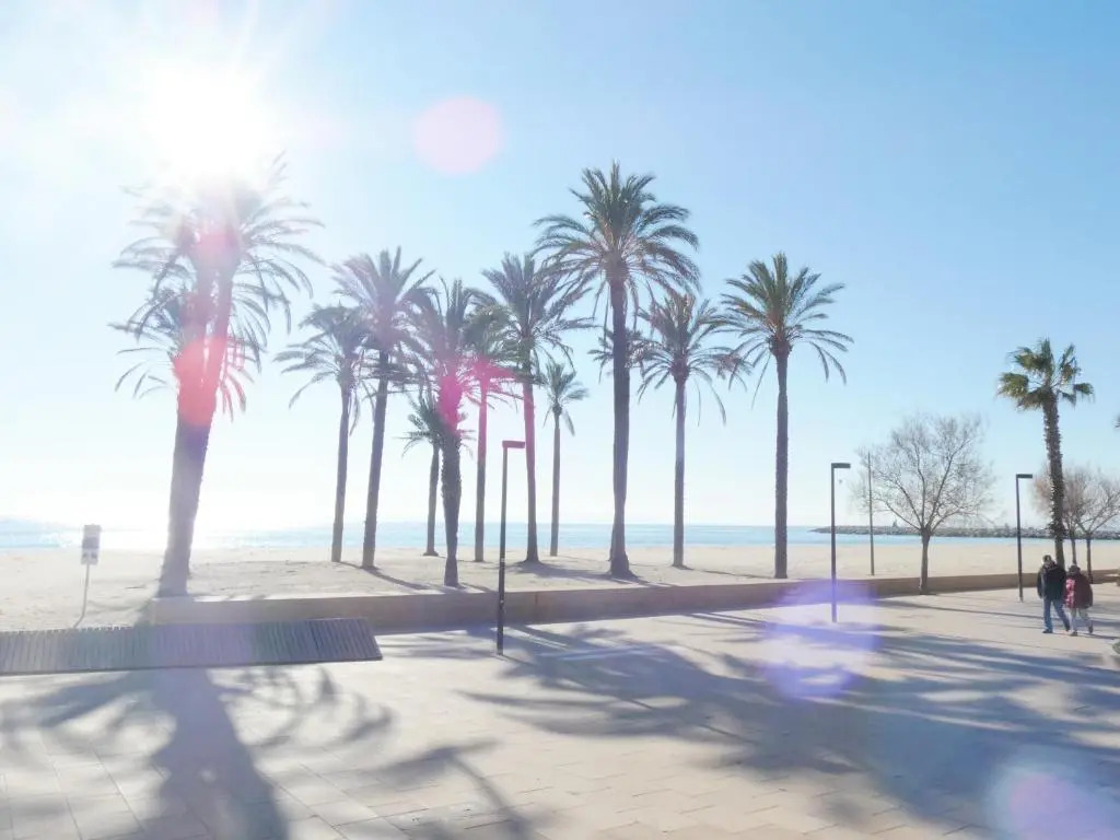 Apartamento con vista mar Rosas 5-8