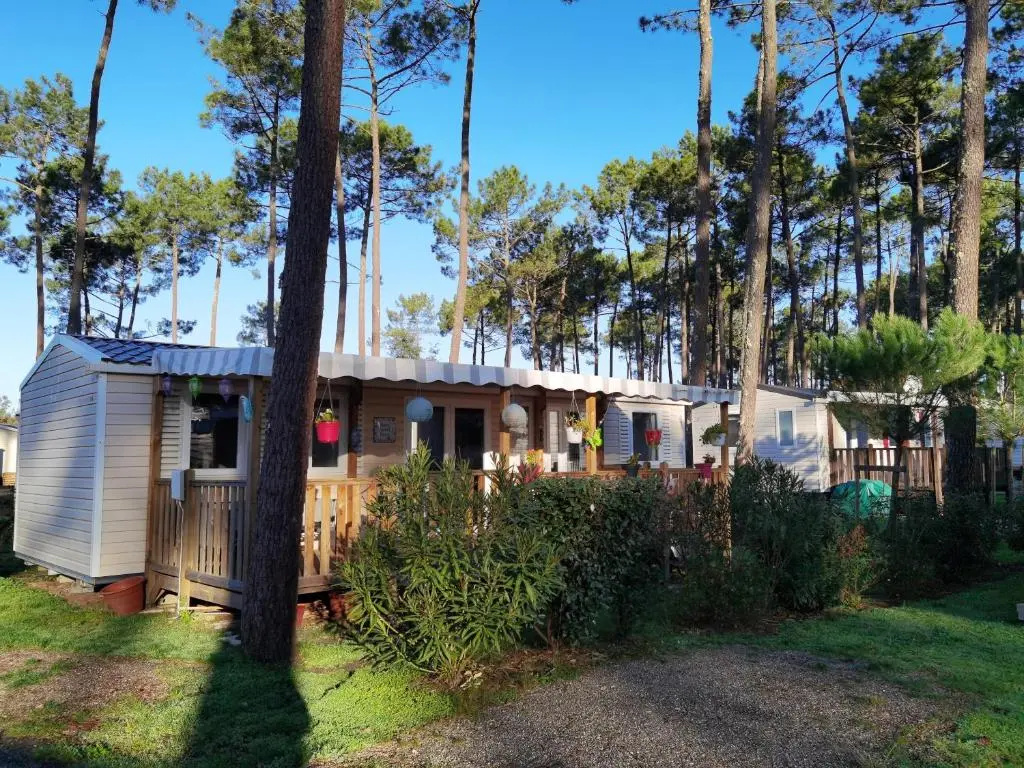 Bungalow de 3 chambres avec piscine partagee jardin amenage et wifi a Saint Julien en Born