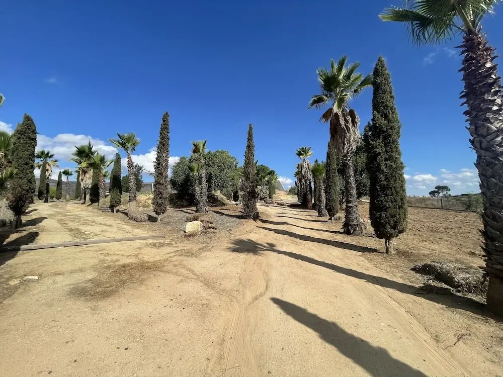 Wine country In Valle de Guadalupe