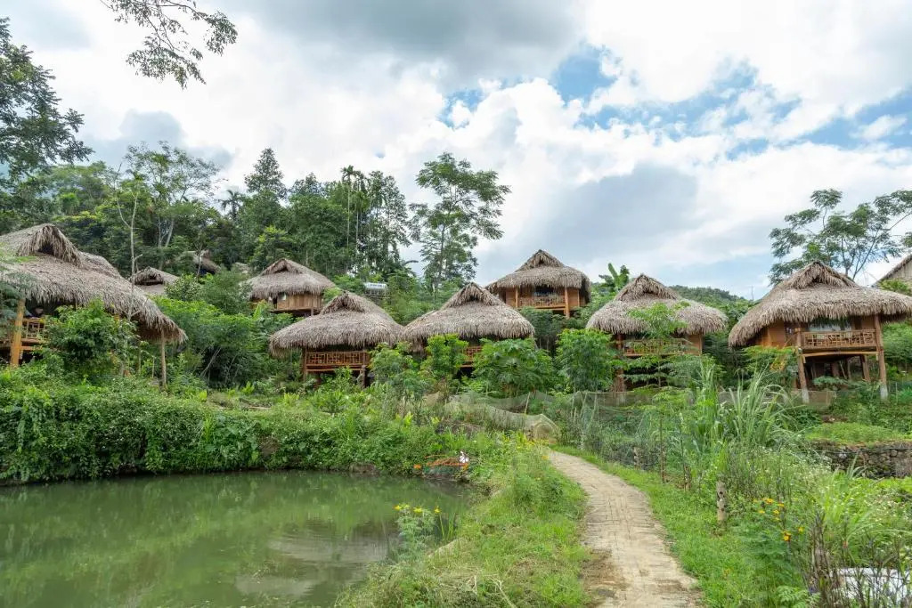Puluong Ohayo