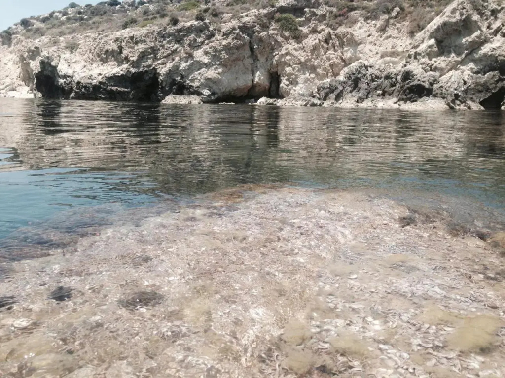 Villa Caterina