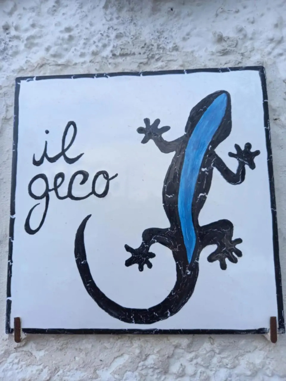 Geko