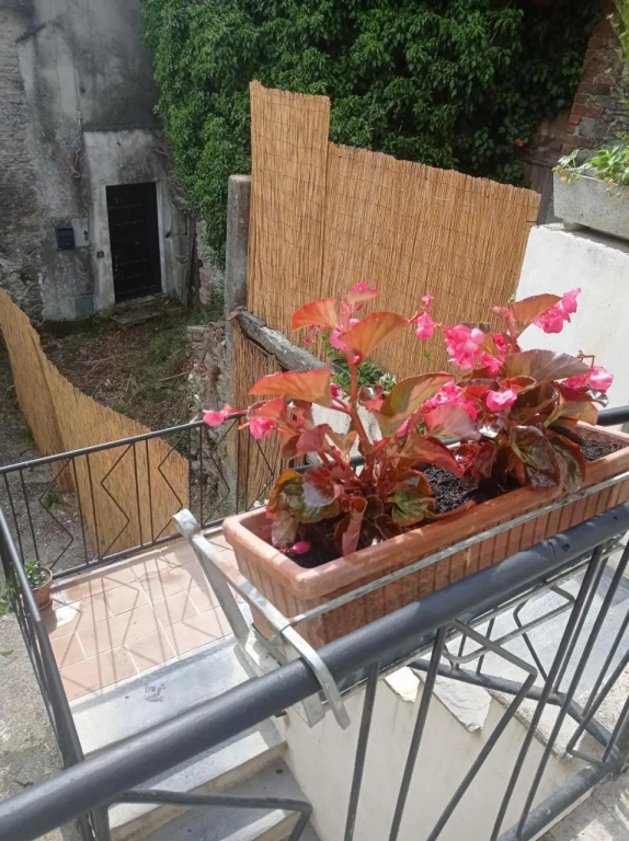 La "Casina nel borgo" , relax a un passo dalle 5 Terre